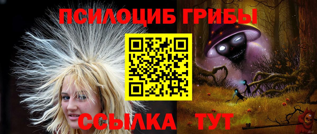 Галлюциногенные грибы Psilocybine cubensis  Вход с VPN  Тавда 